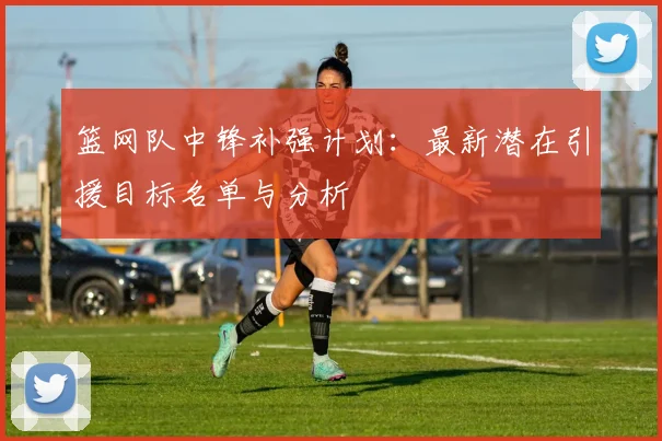 篮网队中锋补强计划:最新潜在引援目标名单与分析